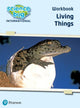 Book cover of: Science Bug: Living things Workbook. By: Deborah Herridge