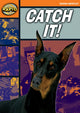 Book cover of: Rapid Reading: Catch It! (Starter Level 2A). By: Diana Bentley