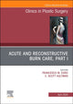 Book cover of: Acute and Reconstructive Burn Care, Part I, An Issue of Clinics in Plastic Surgery. By: Francesco M. Egro