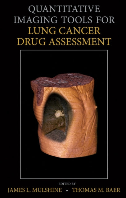 Book cover of: Quantitative Imaging Tools for Lung Cancer Drug Assessment