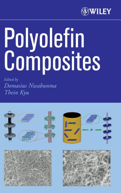 Book cover of: Polyolefin Composites. By: Domasius Nwabunma