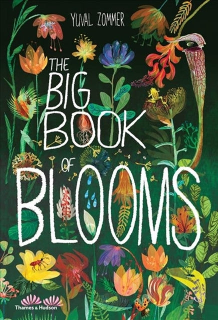 Book cover of: Big Book of Blooms. By: Yuval Zommer