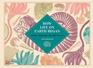 How Life on Earth Began, Fossils · Dinosaurs · The First Humans