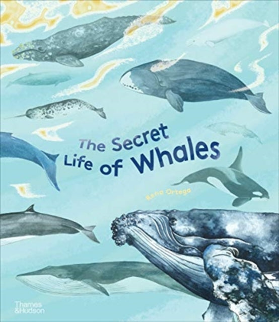Book cover of: Secret Life of Whales. By: Rena Ortega