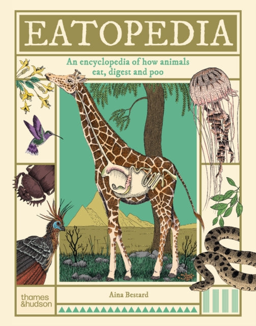 Eatopedia, An encyclopedia of how animals eat, digest and poo 9780500653869 Aina Bestard