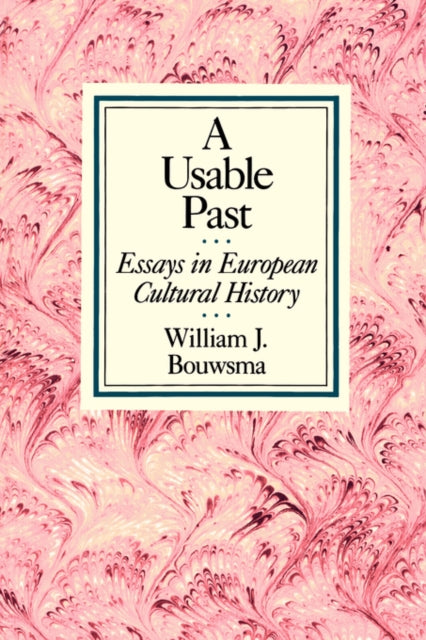 Book cover of: Usable Past