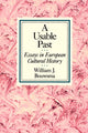 Book cover of: Usable Past