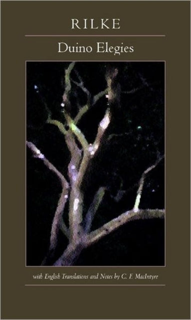 Book cover of: Duino Elegies. By: Rainer Maria Rilke