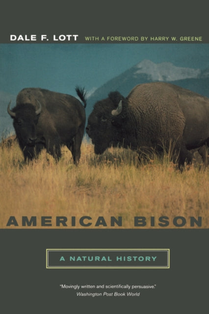 Book cover of: American Bison. By: Dale F. Lott