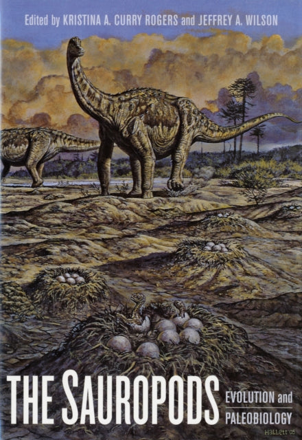 Book cover of: Sauropods