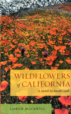 Wildflowers of California