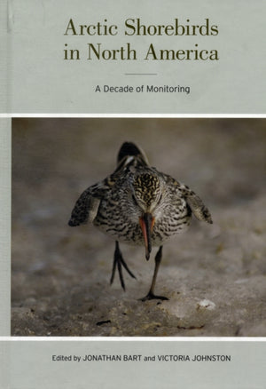Arctic Shorebirds in North America
