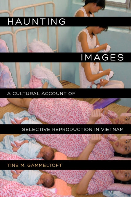 Book cover of: Haunting Images. By: Tine M. Gammeltoft