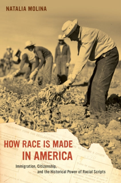 Book cover of: How Race Is Made in America