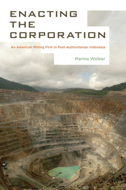 Book cover of: Enacting the Corporation. By: Marina Welker