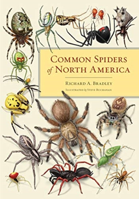 Book cover of: Common Spiders of North America. By: Richard A. Bradley