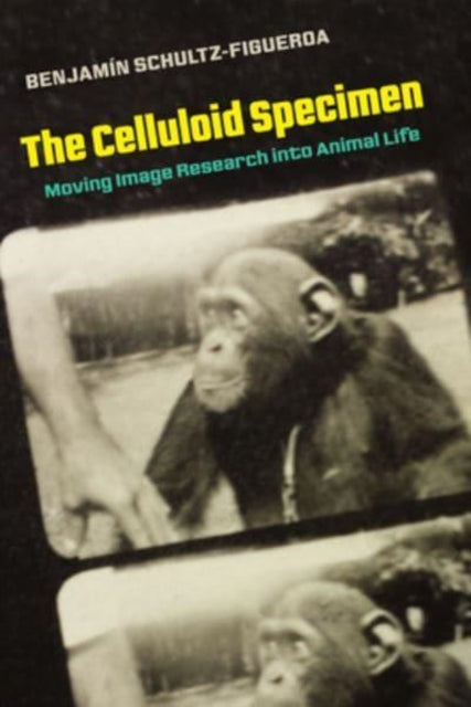 Book cover of: Celluloid Specimen. By: Benjamin Schultz-Figueroa