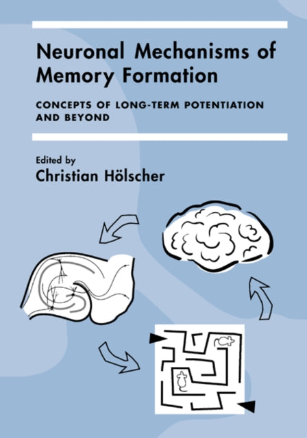 Book cover of: Neuronal Mechanisms of Memory Formation. By: Christian Hölscher