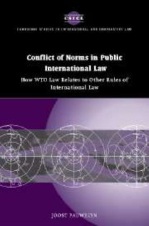 Conflict of Norms in Public International Law