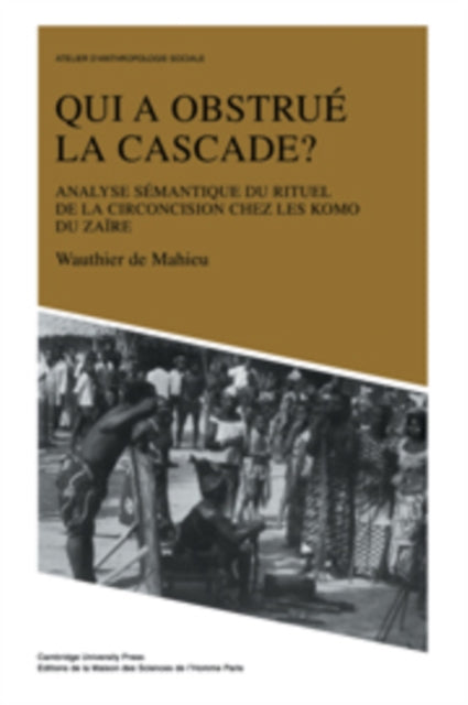 Book cover of: Qui a obstrue la cascade?. By: Wauthier de Mahieu