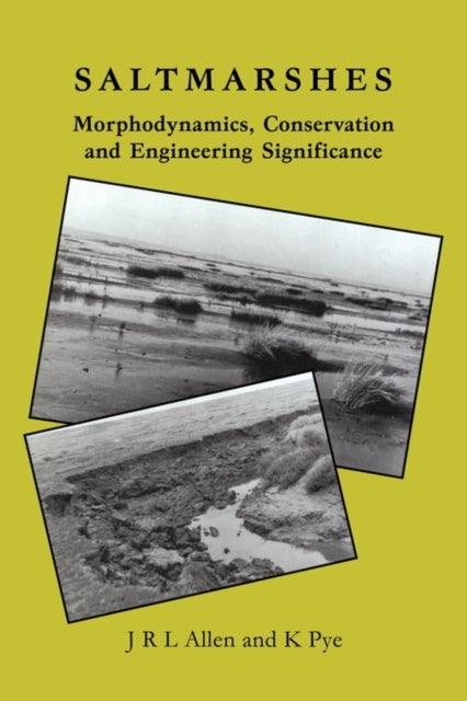 Book cover of: Saltmarshes. By: J. R. L. Allen