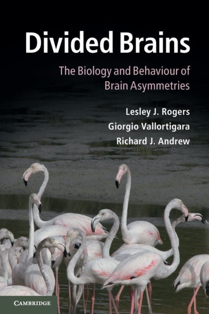 Book cover of: Divided Brains. By: Lesley J. Rogers
