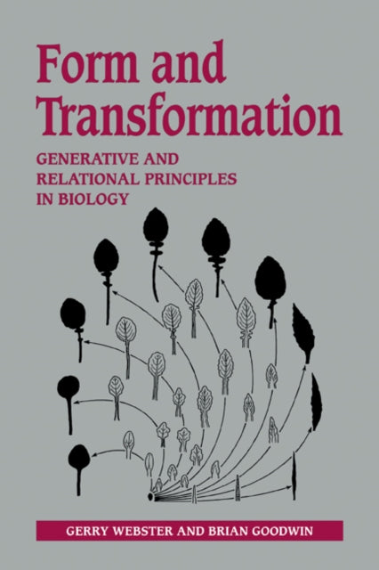 Book cover of: Form and Transformation. By: Gerry Webster