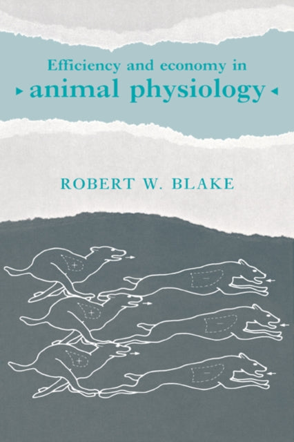 Book cover of: Efficiency and Economy in Animal Physiology