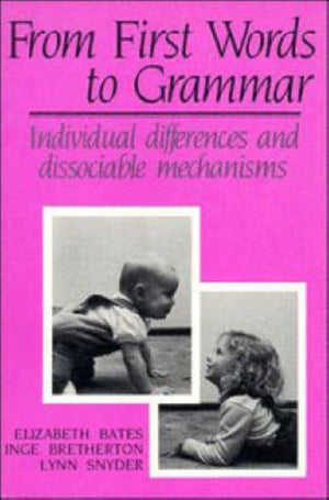 From First Words to Grammar