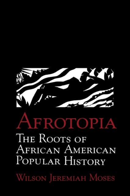 Book cover of: Afrotopia
