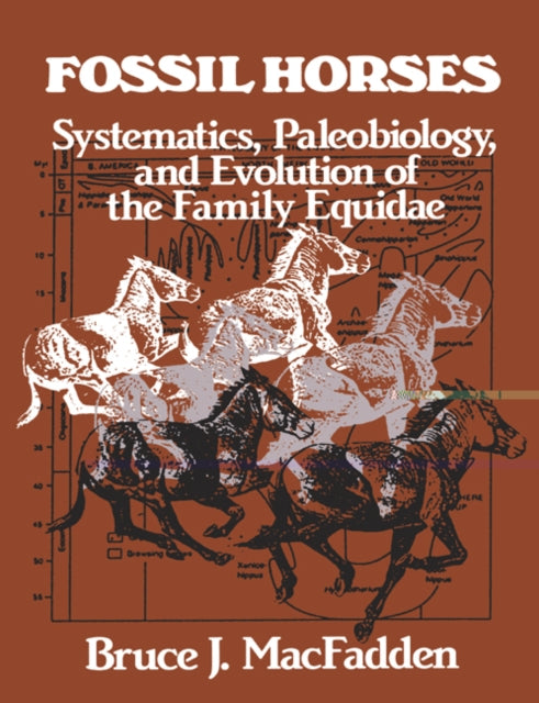 Book cover of: Fossil Horses. By: Bruce J. MacFadden
