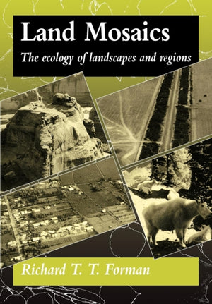 Land Mosaics