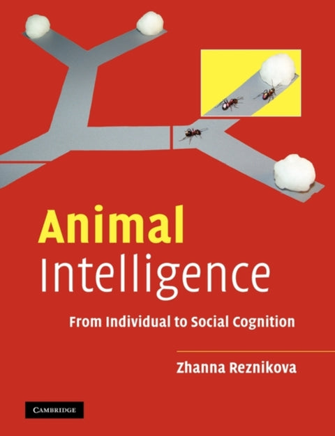 Animal Intelligence