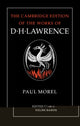 Book cover of: Paul Morel