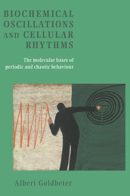 Book cover of: Biochemical Oscillations and Cellular Rhythms. By: Albert Goldbeter