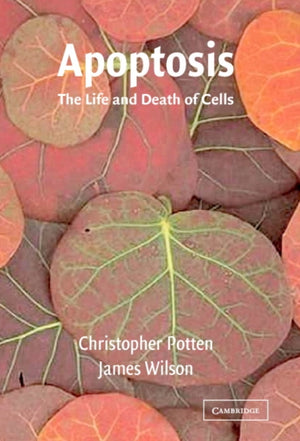 Apoptosis