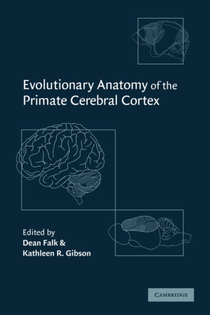Book cover of: Evolutionary Anatomy of the Primate Cerebral Cortex