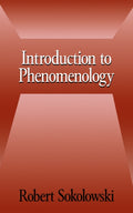 Introduction to Phenomenology