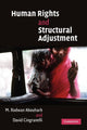 Book cover of: Human Rights and Structural Adjustment. By: M. Rodwan Abouharb