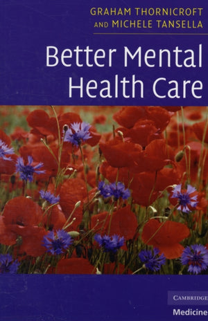 Better Mental Health Care