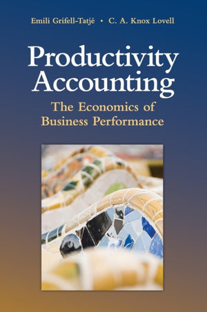 Productivity Accounting