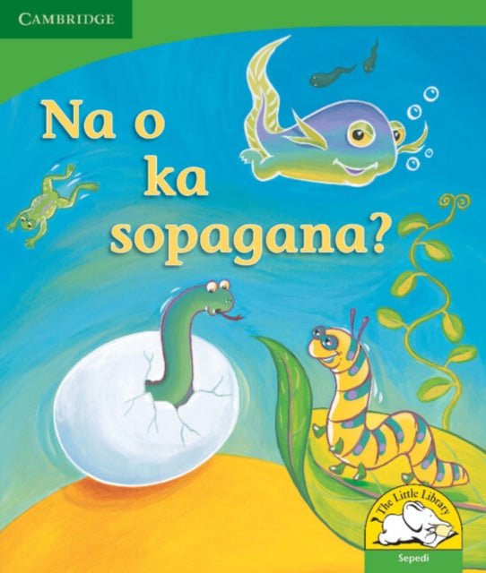 Book cover of: Na o ka sopagana? (Sepedi). By: Kerry Saadien-Raad