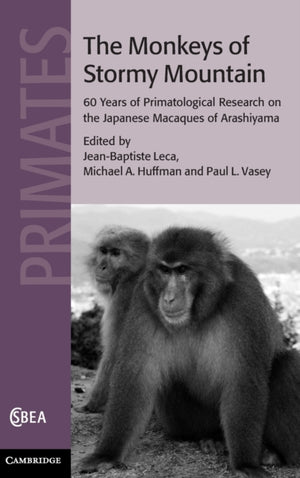 Monkeys of Stormy Mountain