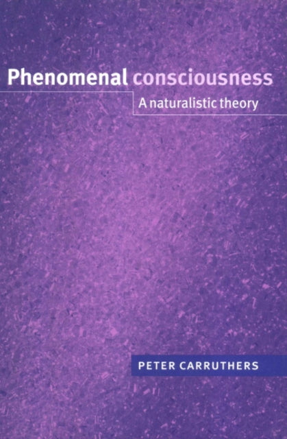 Phenomenal Consciousness