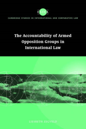 Accountability of Armed Opposition Groups in International Law