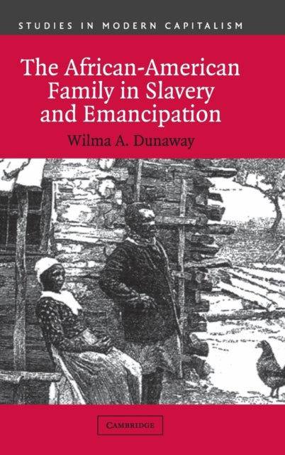 Book cover of: African-American Family in Slavery and Emancipation