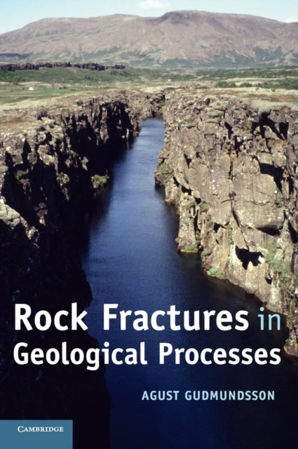 Book cover of: Rock Fractures in Geological Processes