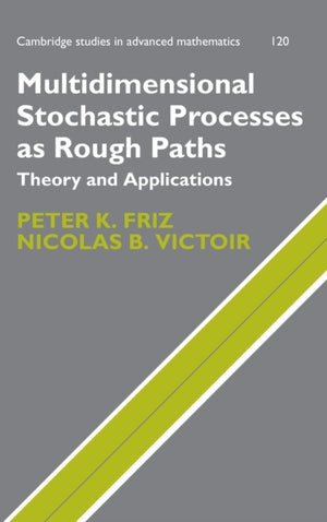 Multidimensional Stochastic Processes as Rough Paths