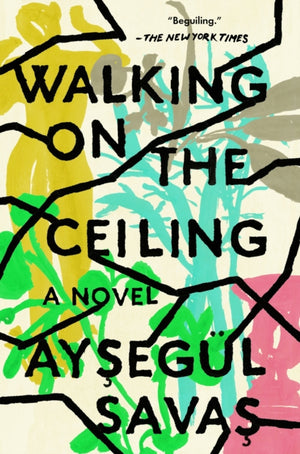 Walking on the Ceiling, A Novel