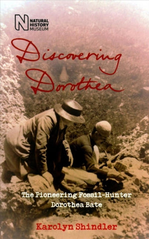 Discovering Dorothea